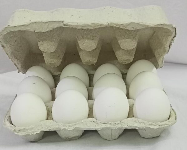 Z- Mart Farm Eggs Regular, Medium, 12 Pcs